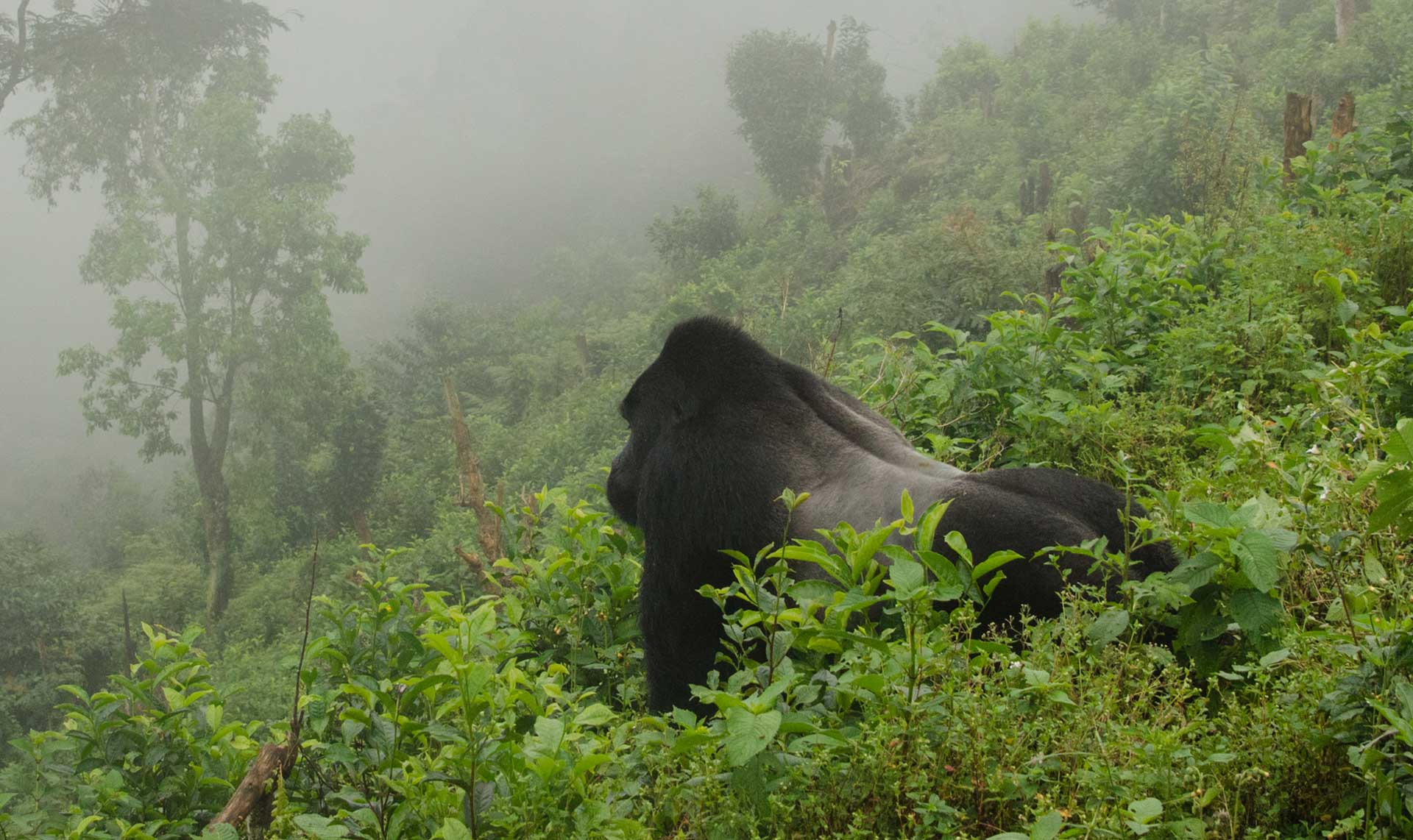 La tierra de las mil colinas La tierra de las mil colinas