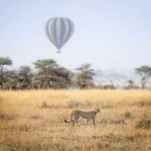 Tanzania