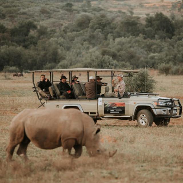 Mercedes Benz Dealer Convention
